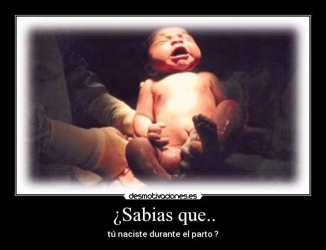 ¿Sabias que.. - 
