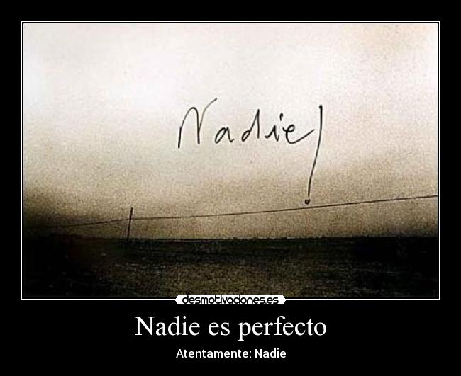 Nadie es perfecto -