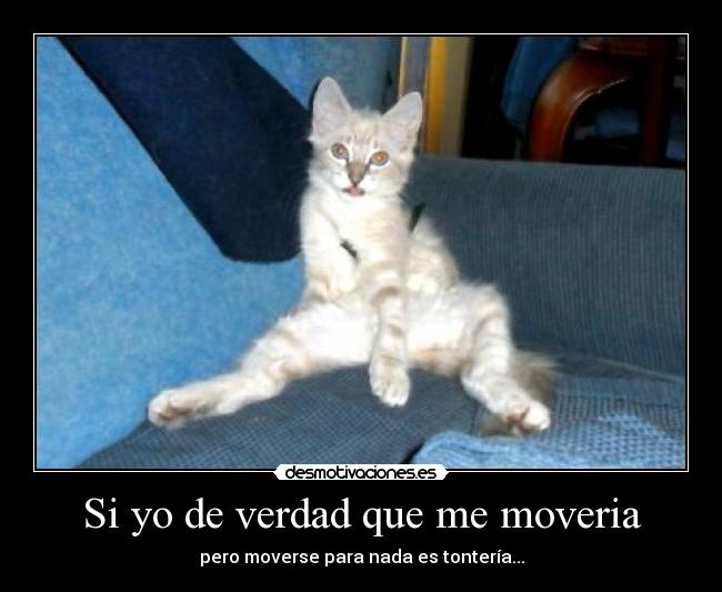 Si yo de verdad que me moveria - pero moverse para nada es tontería...