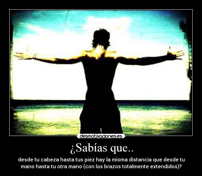 ¿Sabías que.. - desde tu cabeza hasta tus piez hay la misma distancia que desde tu
mano hasta tu otra mano (con los brazos totalmente extendidos)?