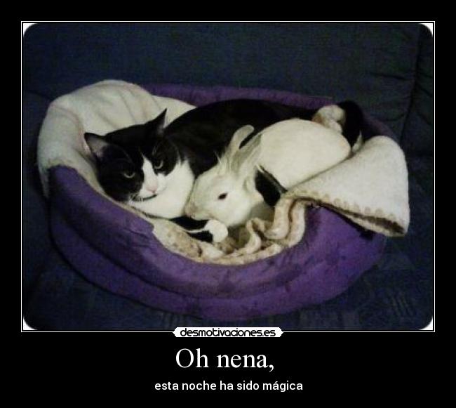 Oh nena,  - esta noche ha sido mágica