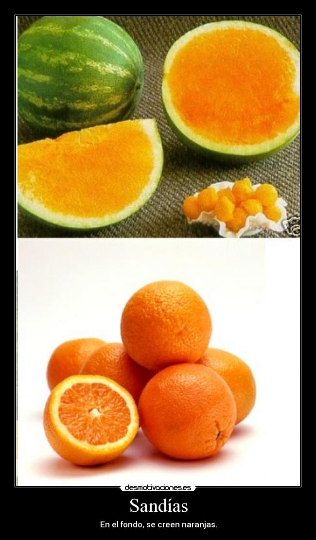 Sandías - En el fondo, se creen naranjas.
