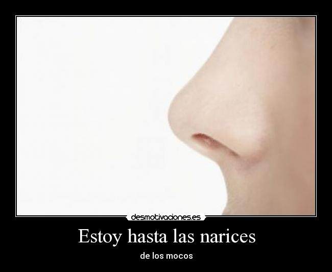 Estoy hasta las narices - 