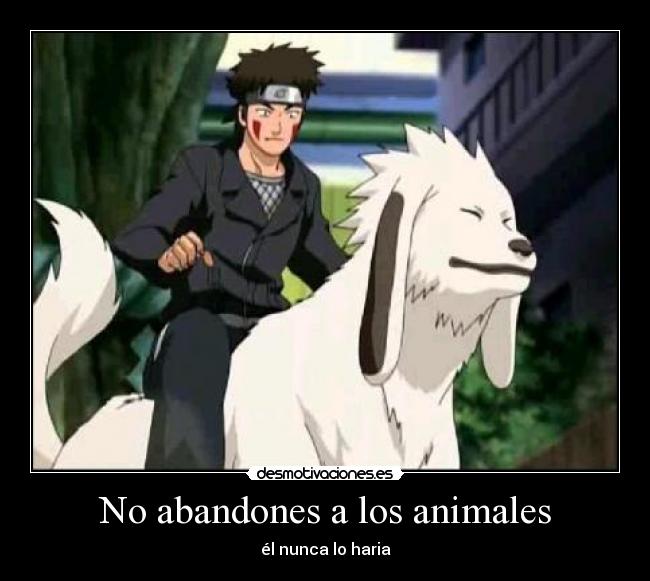 carteles animales abandones los animales desmotivaciones