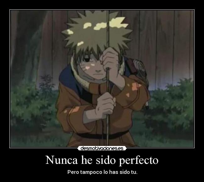 Nunca he sido perfecto - 