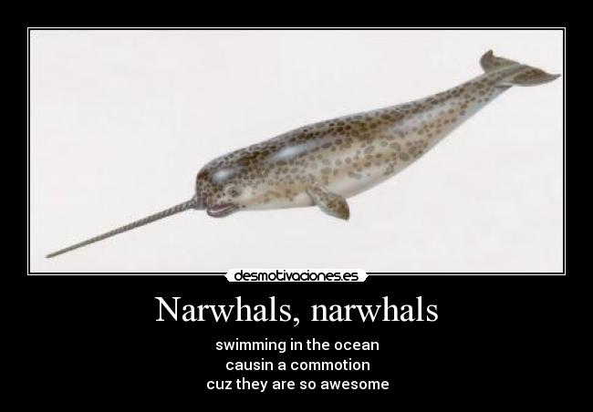 Narwhals, narwhals - swimming in the ocean
causin a commotion
cuz they are so awesome