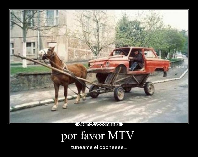 por favor MTV -