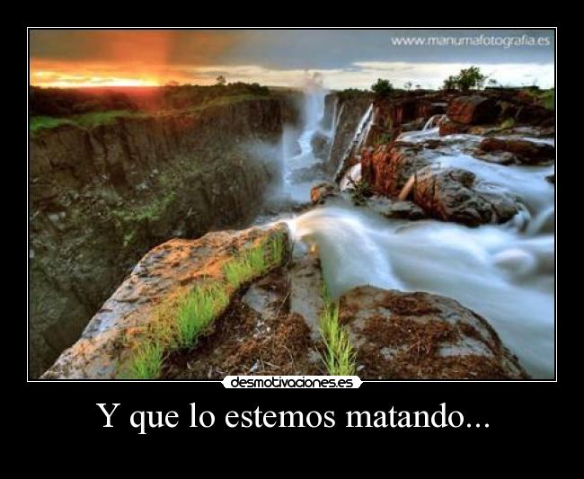 Y que lo estemos matando... - 
