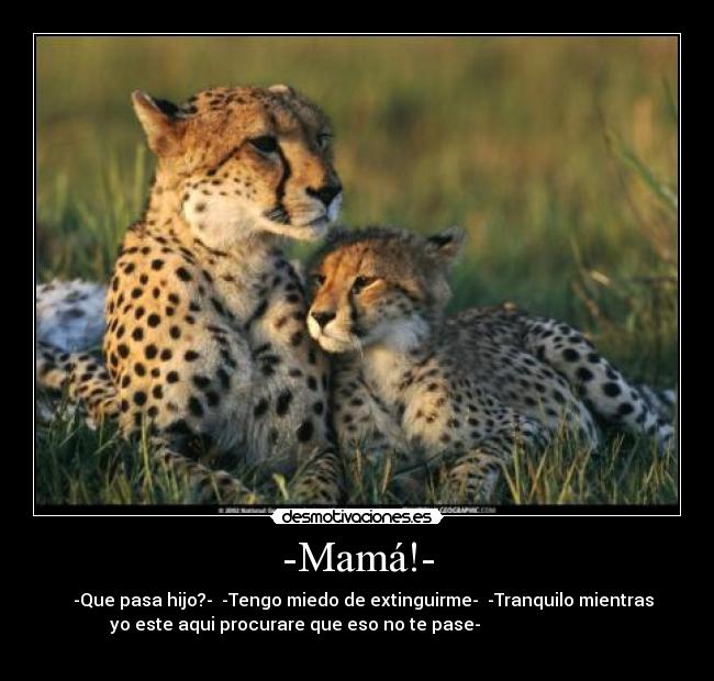 -Mamá!- -    -Que pasa hijo?-  -Tengo miedo de extinguirme-  -Tranquilo mientras
yo este aqui procurare que eso no te pase-                            
                                                                