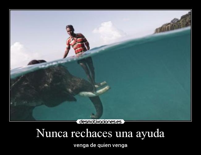 carteles ayuda nunca rechaces una ayuda desmotivaciones