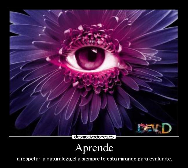 Aprende - a respetar la naturaleza,ella siempre te esta mirando para evaluarte.