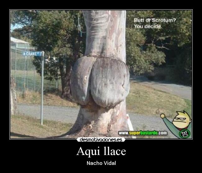 Aqui llace -