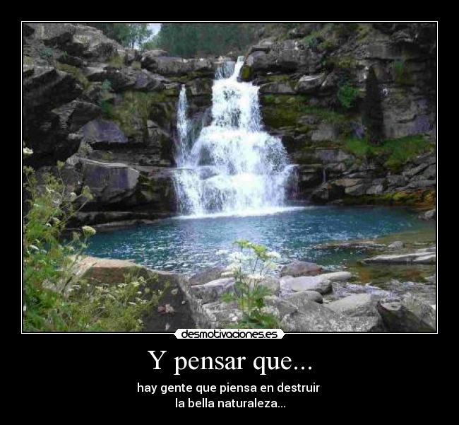 Y pensar que... - hay gente que piensa en destruir
la bella naturaleza...