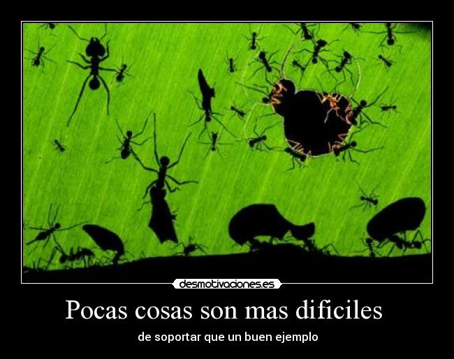 Pocas cosas son mas dificiles -