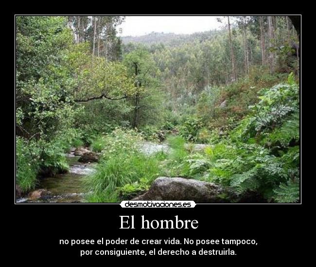 El hombre - no posee el poder de crear vida. No posee tampoco,
por consiguiente, el derecho a destruirla.