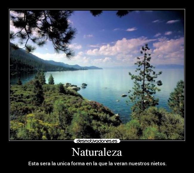Naturaleza -