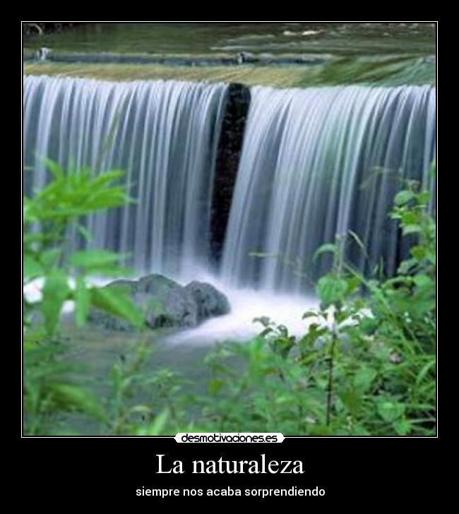 La naturaleza - 
