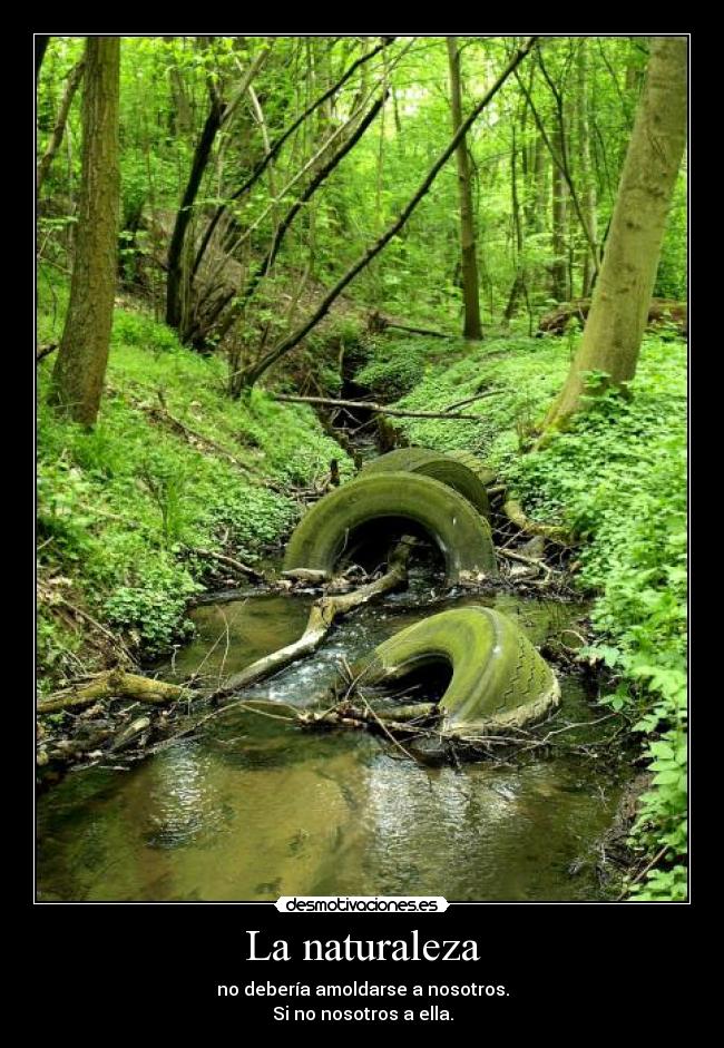 La naturaleza - no debería amoldarse a nosotros.
Si no nosotros a ella.