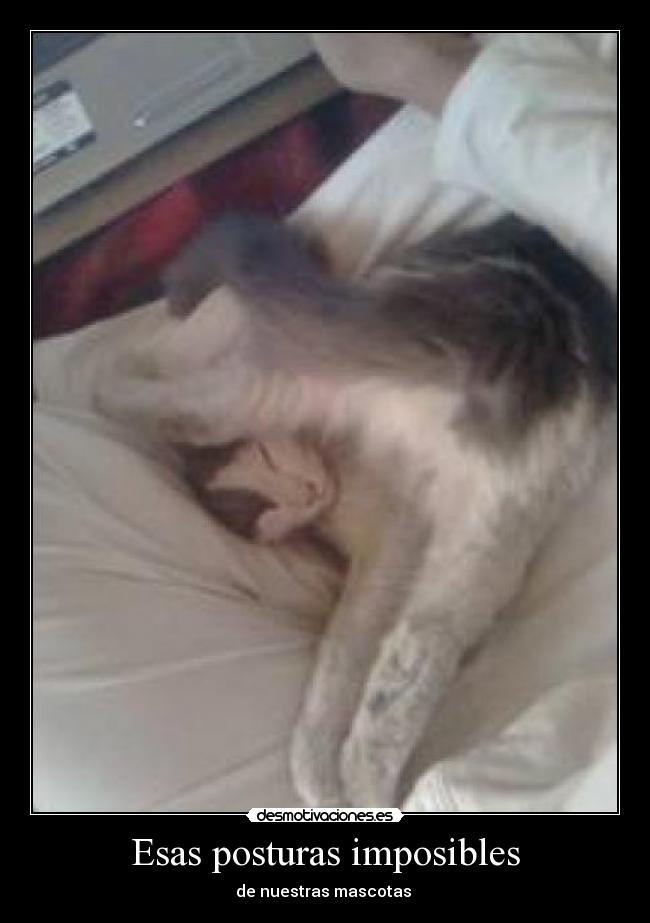 Esas posturas imposibles - 