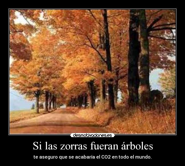 carteles  desmotivaciones