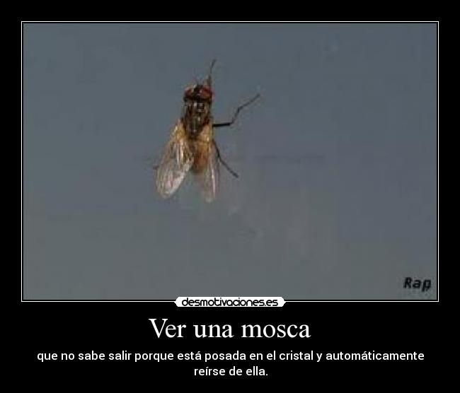 carteles hjhjhjjh desmotivaciones