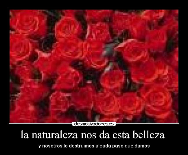 la naturaleza nos da esta belleza - y nosotros lo destruimos a cada paso que damos