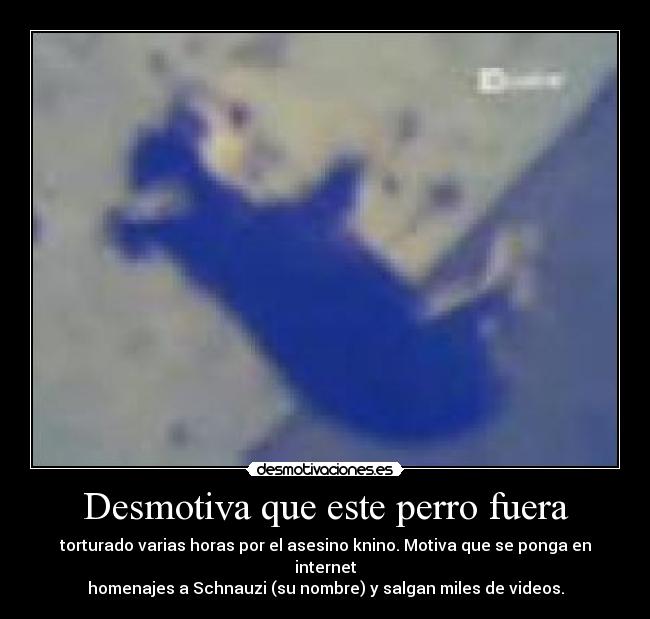 Desmotiva que este perro fuera - torturado varias horas por el asesino knino. Motiva que se ponga en internet
homenajes a Schnauzi (su nombre) y salgan miles de videos.