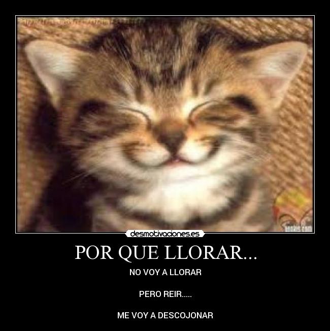 POR QUE LLORAR... - NO VOY A LLORAR

PERO REIR.....

ME VOY A DESCOJONAR