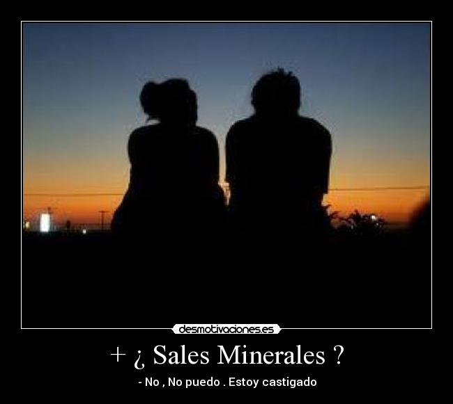 + ¿ Sales Minerales ? -