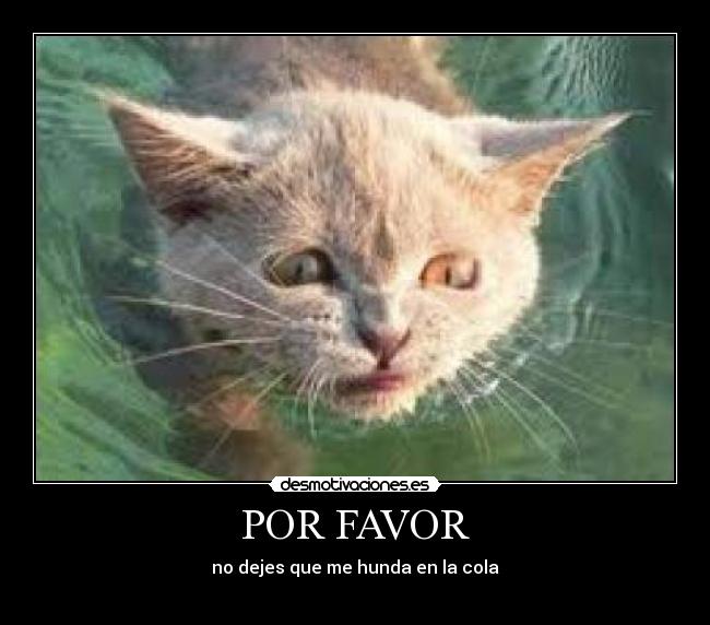 POR FAVOR - 