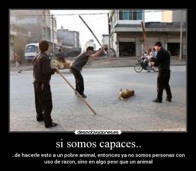 si somos capaces.. -
