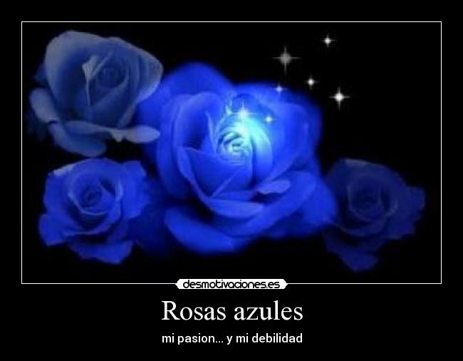 Rosas azules - mi pasion... y mi debilidad