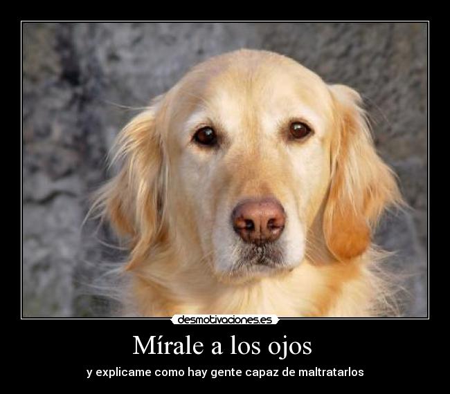 Mírale a los ojos -