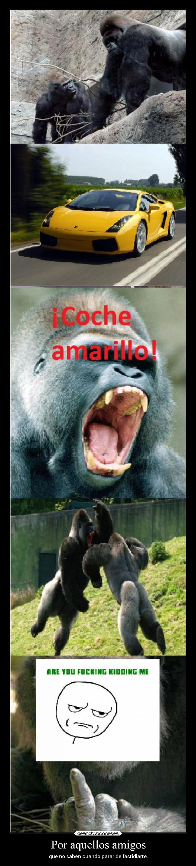 Por aquellos amigos - que no saben cuando parar de fastidiarte.