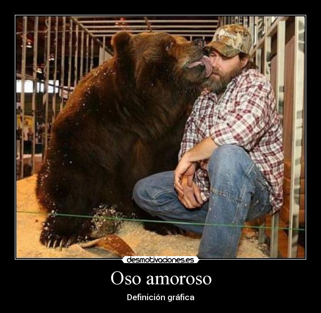 Oso amoroso - 