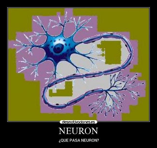 NEURON - 