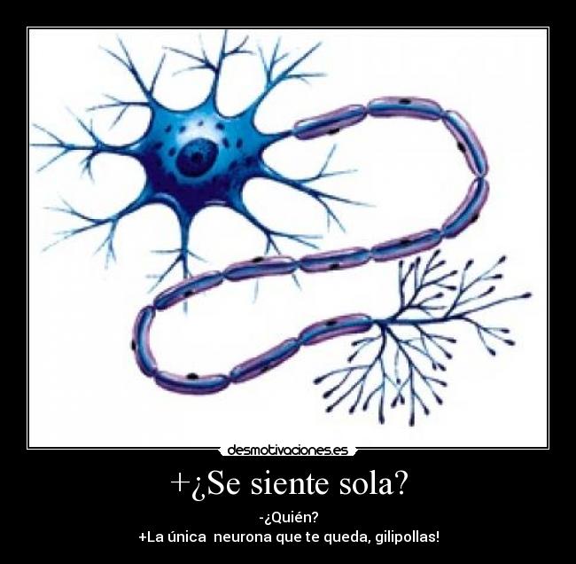 +¿Se siente sola? -