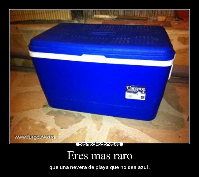 Eres mas raro - que una nevera de playa que no sea azul .