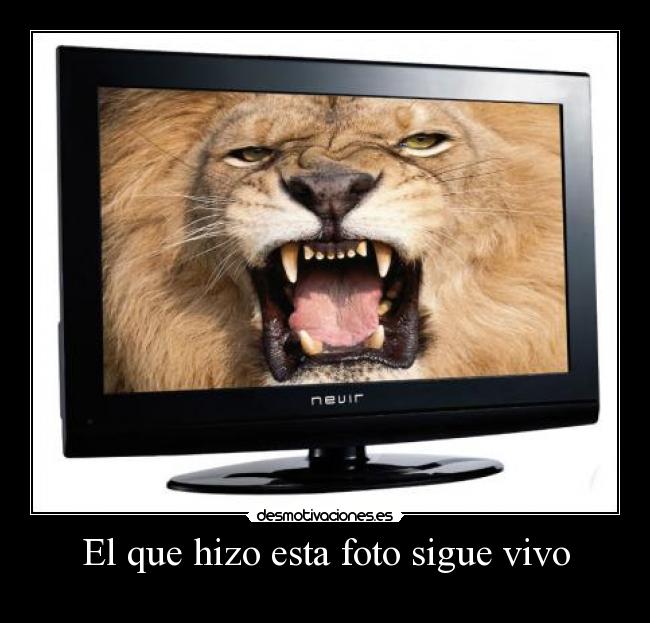 El que hizo esta foto sigue vivo -