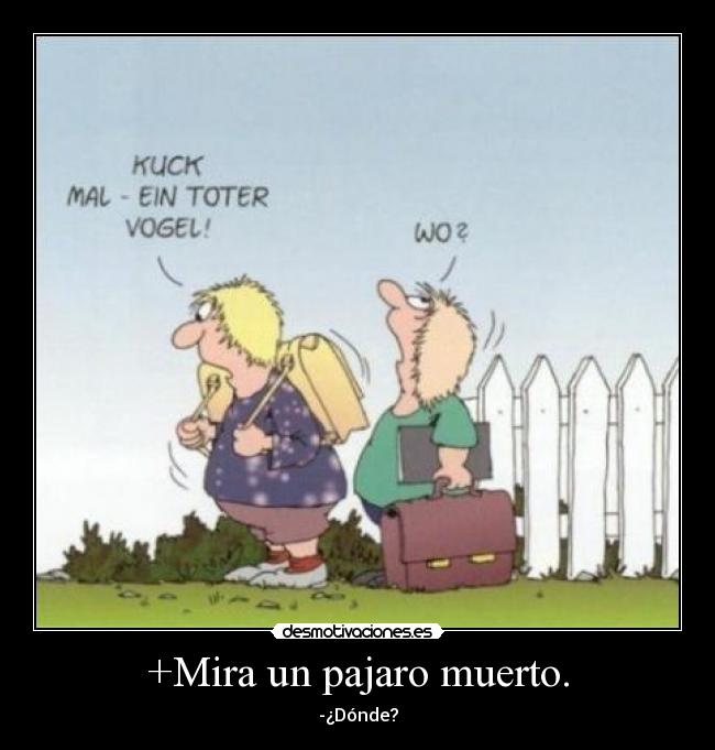+Mira un pajaro muerto. - -¿Dónde?