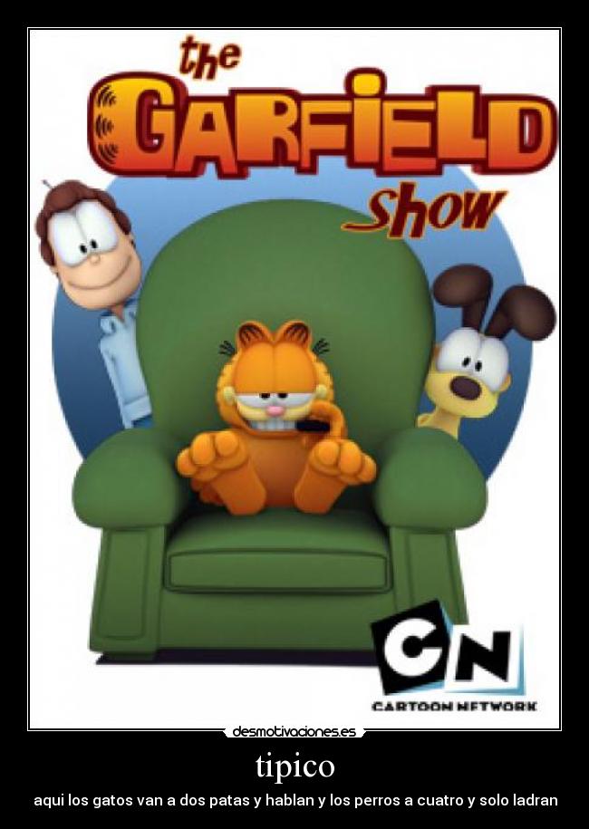 tipico - aqui los gatos van a dos patas y hablan y los perros a cuatro y solo ladran
