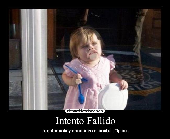 Intento Fallido - Intentar salir y chocar en el cristal!! Típico..