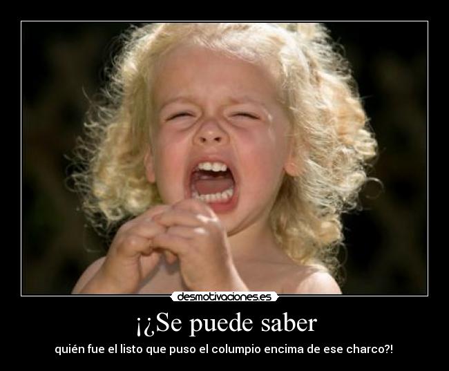 ¡¿Se puede saber - quién fue el listo que puso el columpio encima de ese charco?!