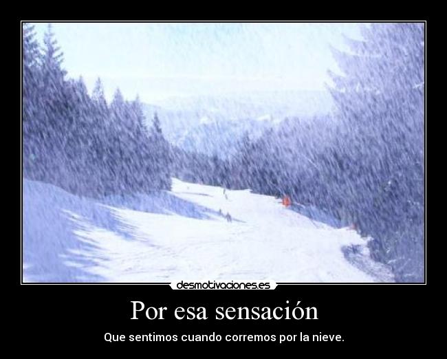 carteles nieve sensacion desmotivaciones