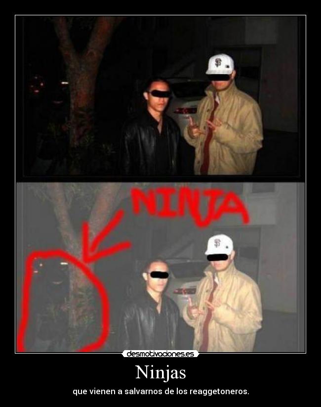 Ninjas - 