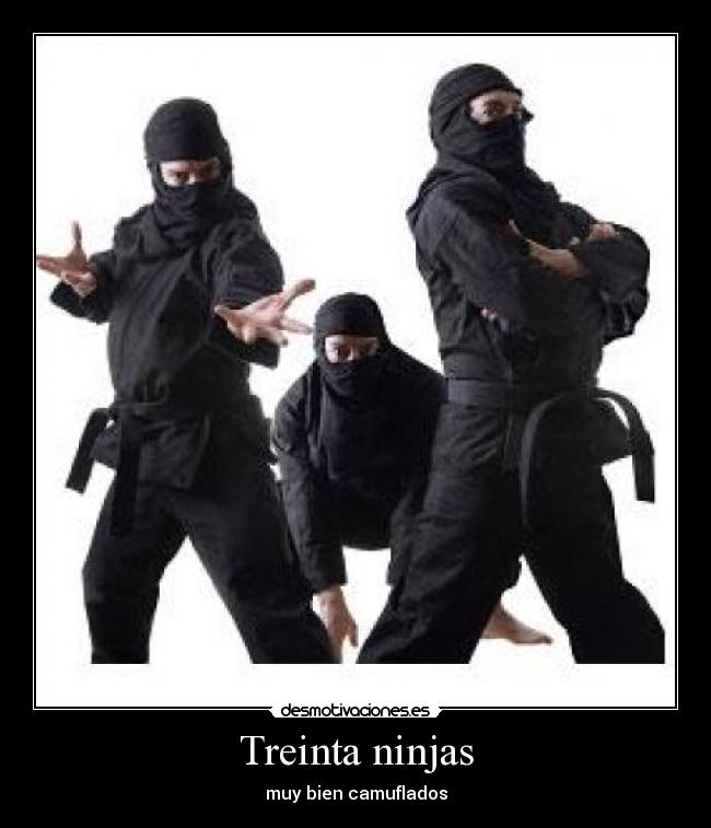 Treinta ninjas - muy bien camuflados