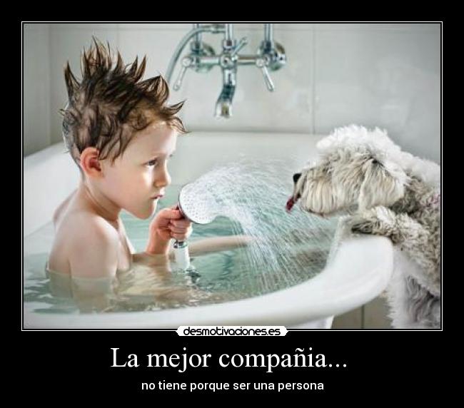 La mejor compañia... -