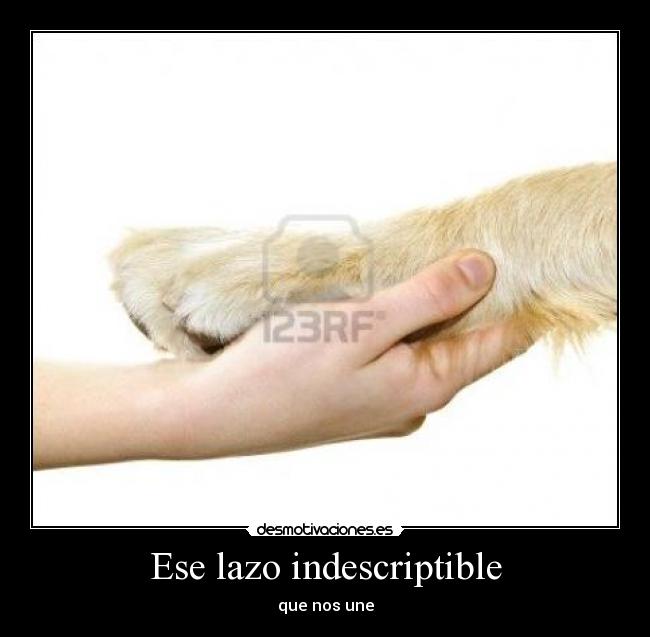 Ese lazo indescriptible - que nos une