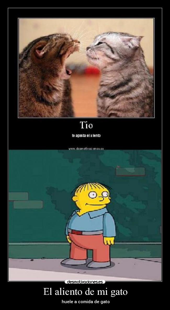 El aliento de mi gato - huele a comida de gato