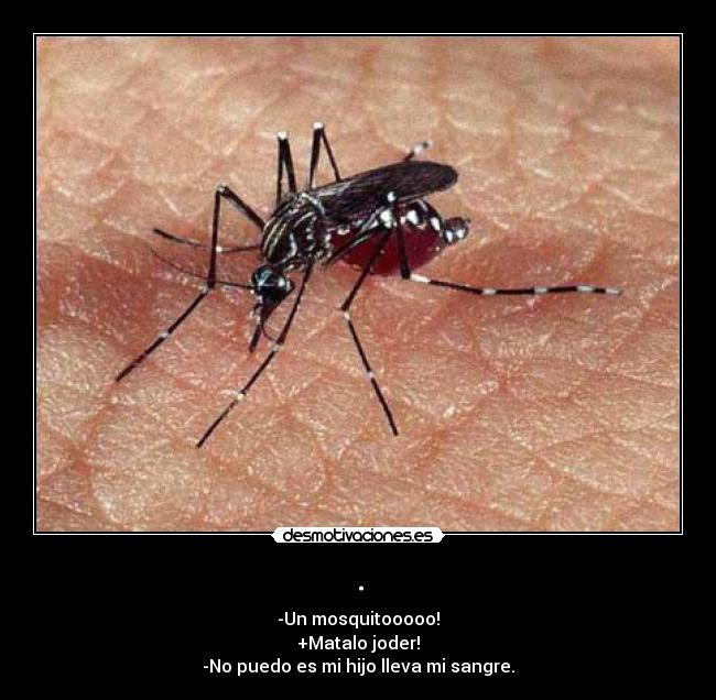 . - -Un mosquitooooo!
+Matalo joder!
-No puedo es mi hijo lleva mi sangre.
